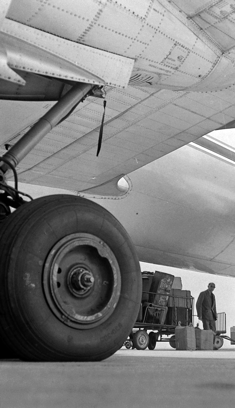 Hungary, Ferihegy (now - Ferenc Liszt) International Airport, Budapest XVIII., MALÉV IL-18 repülőgép., 1966, MHSZ, transport, Soviet brand, airplane, suitcase, travelling, airport, Ilyushin-brand, Hungarian Airlines, packet, wheel, Budapest, Fortepan #15373