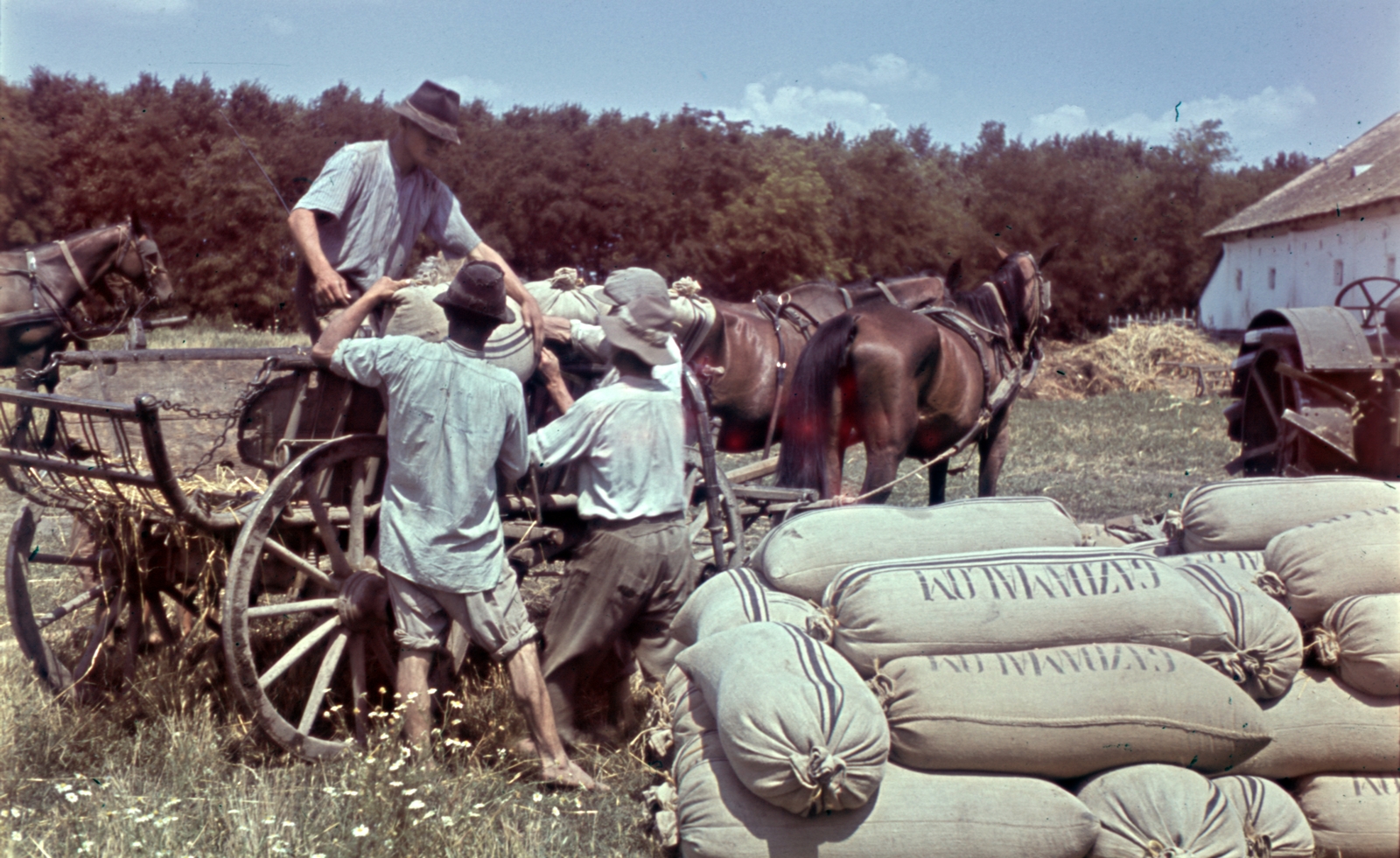 1943, Szekrényesy Réka, colorful, agriculture, harvest, chariot, Fortepan #153944