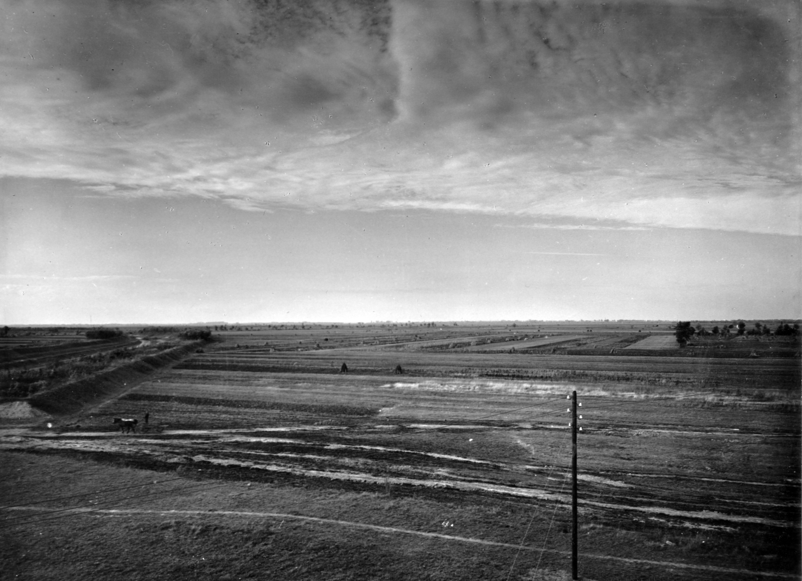 1954, Ivánkay Kálmán, picture, meadow, sky, Fortepan #154359