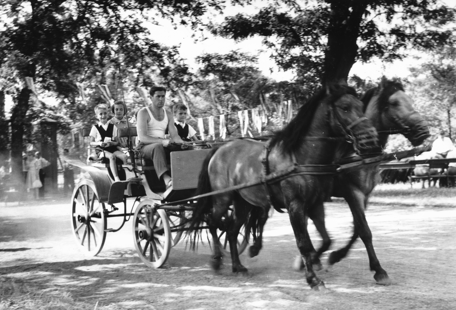1962, Székely Tamás, lovaskocsi, Fortepan #155068