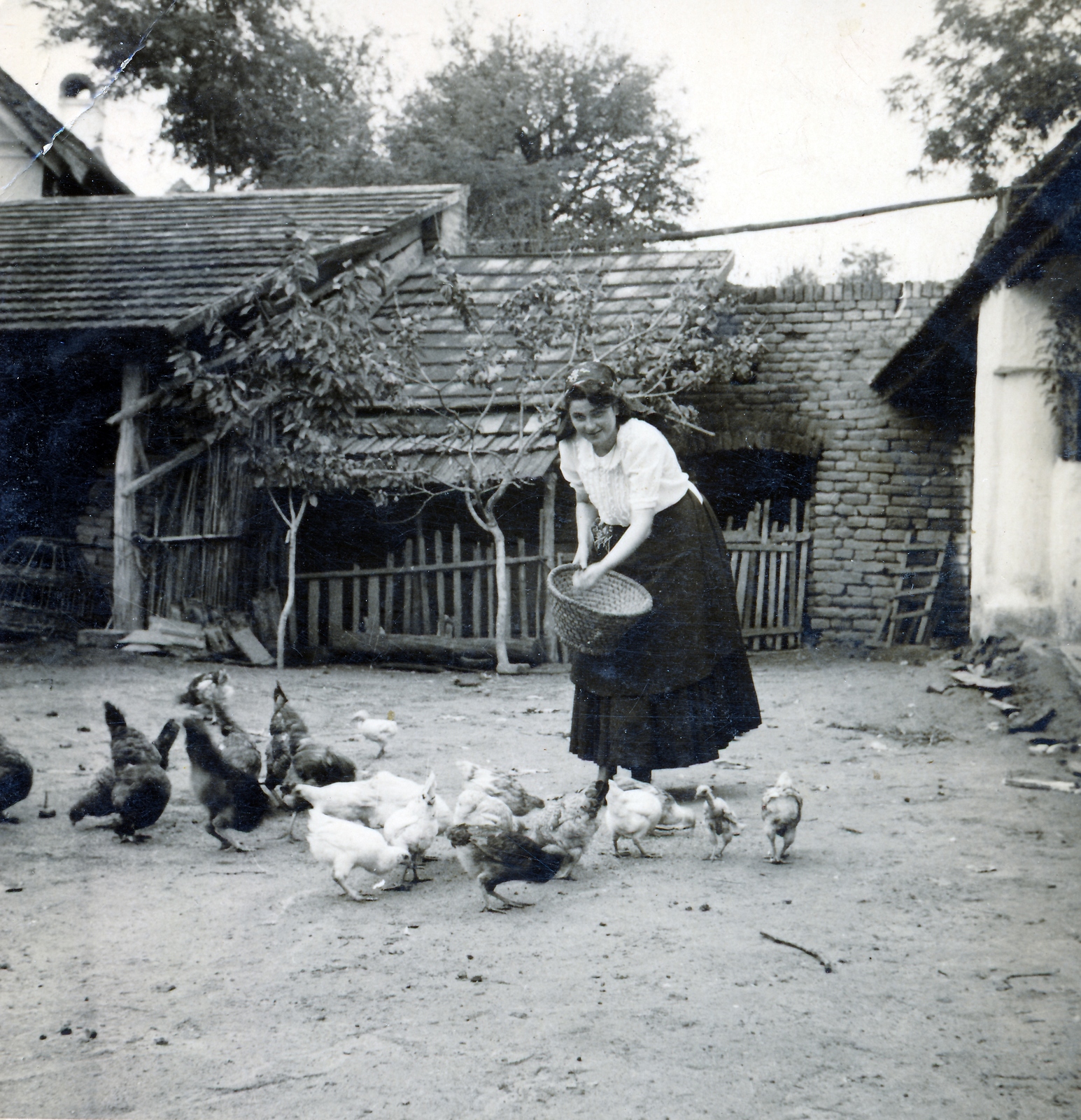 1936, Szilágyi Marianna, poultry, Fortepan #155367