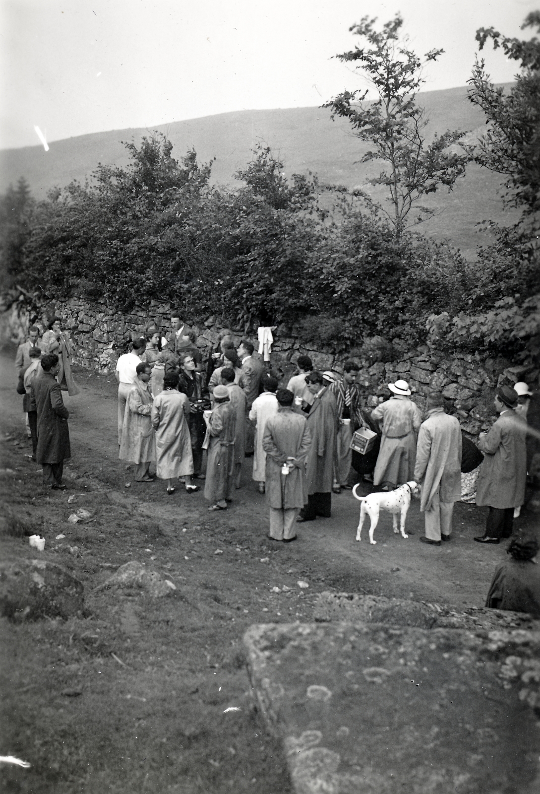 1939, Kiss Zsuzsi, dog, Fortepan #155399