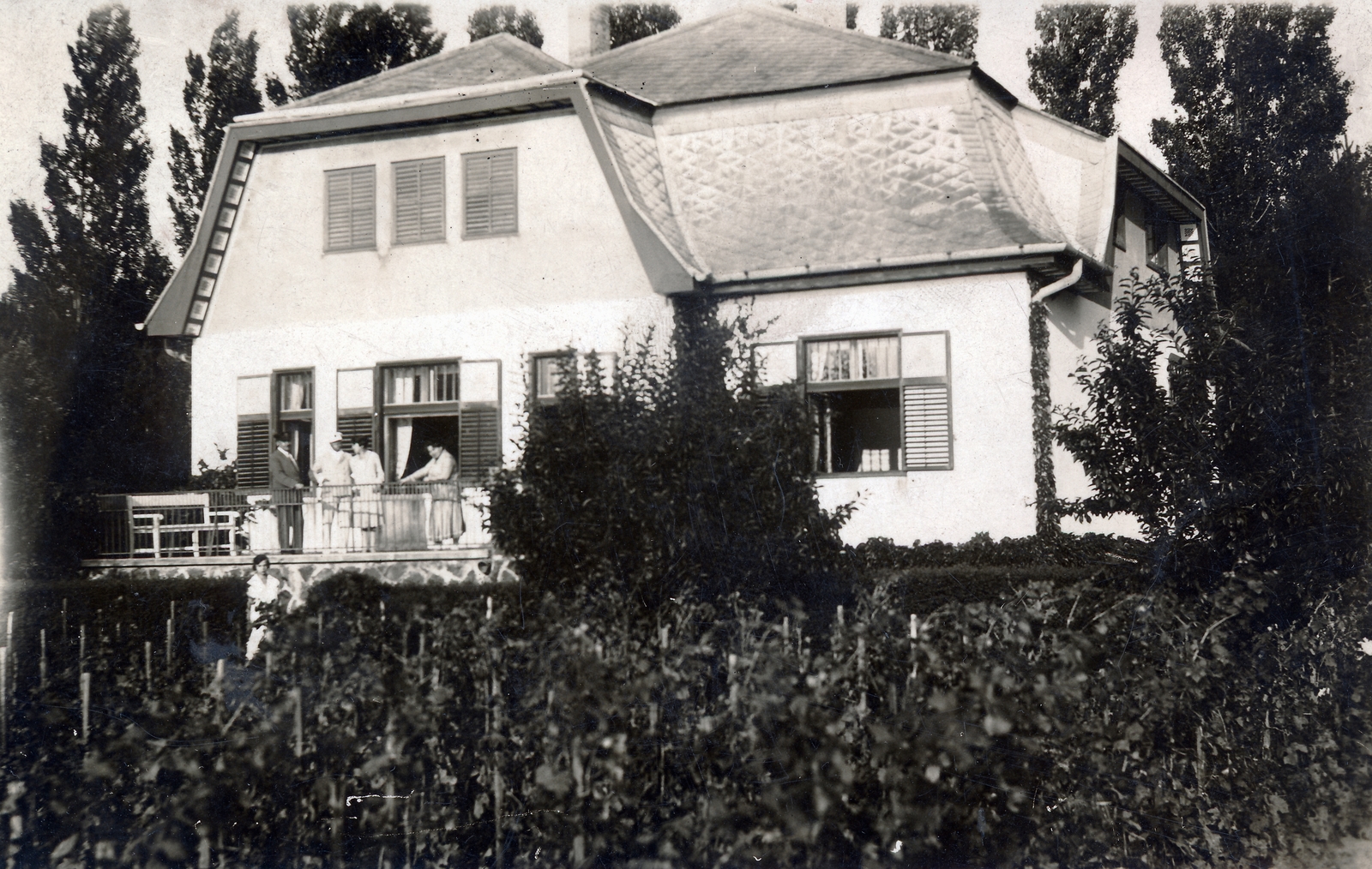 1935, Kiss Zsuzsi, vine, house, Fortepan #155410