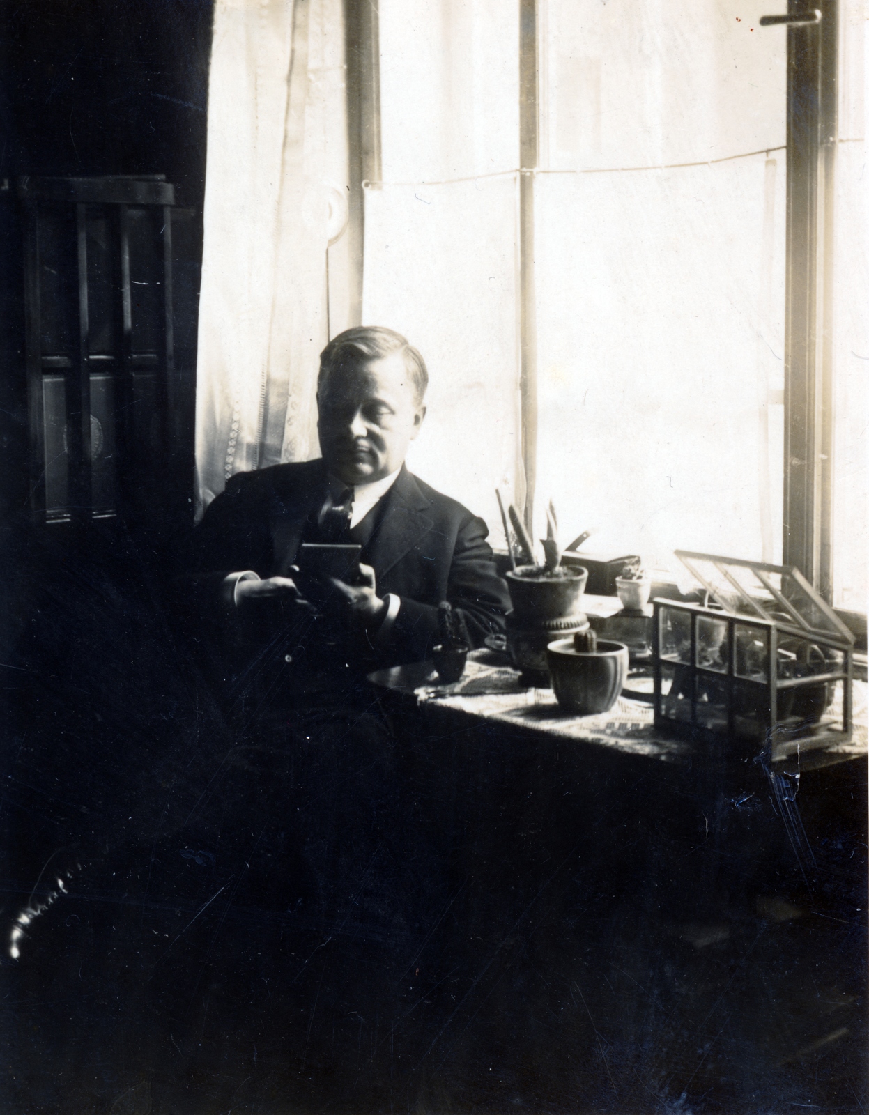 1926, Petőfi Sándor Városi Könyvtár Kiskőrös - Szász Lajos hagyatéka, cactus, Fortepan #155670