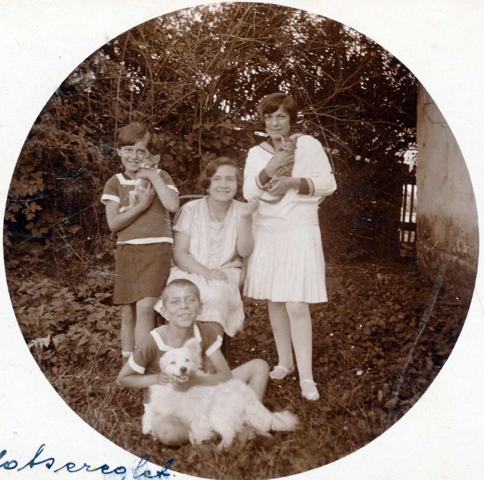 1916, Petőfi Sándor Városi Könyvtár Kiskőrös - Szász Lajos hagyatéka, tableau, dog, girls, hold in arms, cat, Fortepan #155701