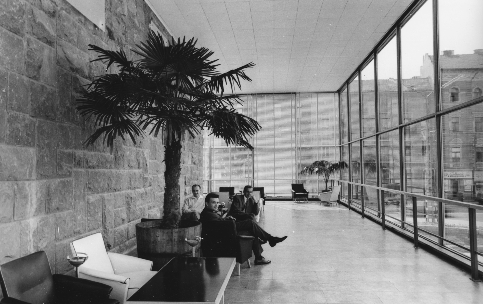 Magyarország, Budapest I., a Déli pályaudvar új pénztárcsarnoka., 1962, Racsmány Dömötör, Budapest, pálmafa, osztott ablak, Fortepan #156001