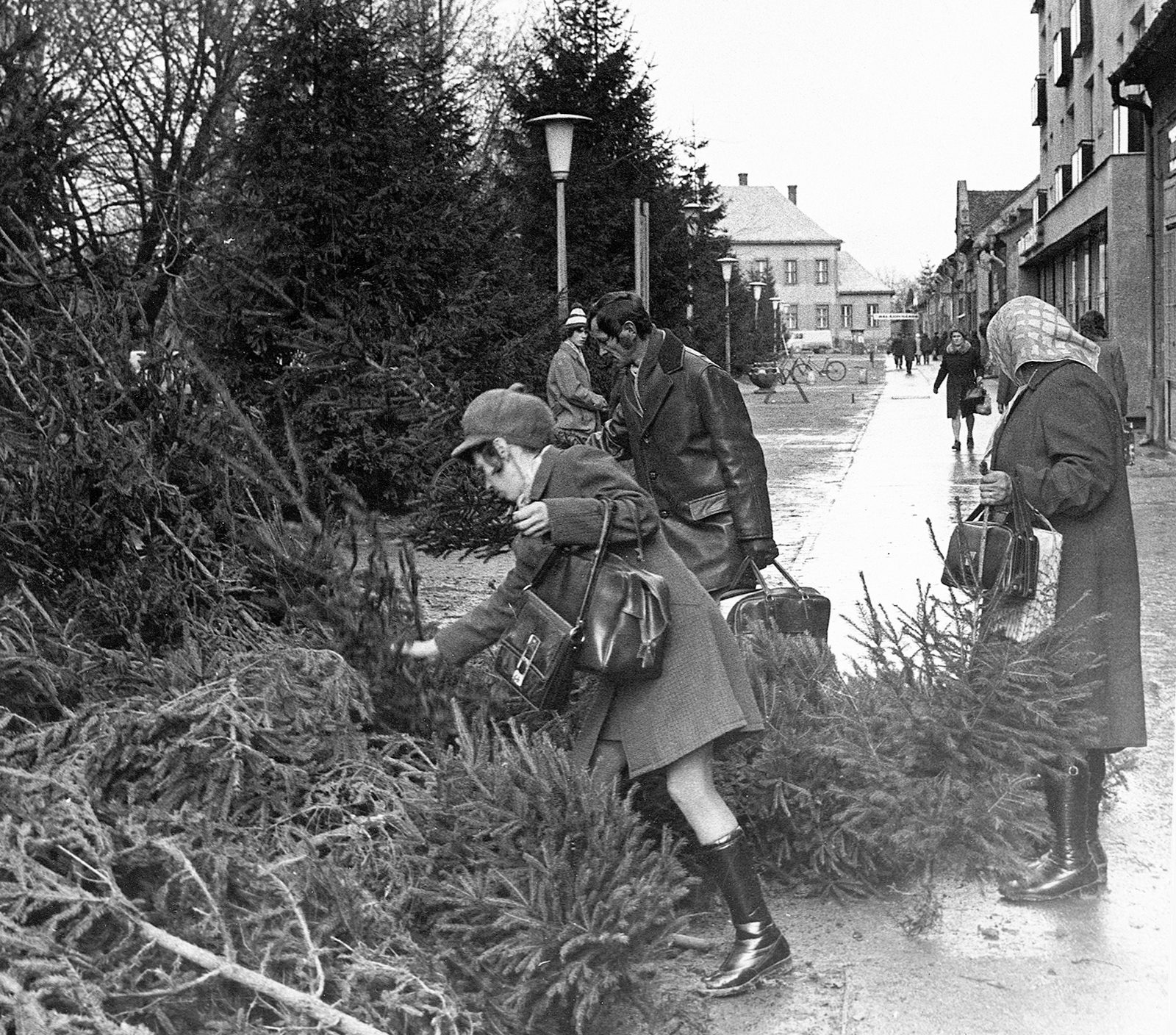 Hungary, Dombóvár, Hunyadi tér., 1974, Erky-Nagy Tibor, Christmas, christmas tree, Fortepan #15613