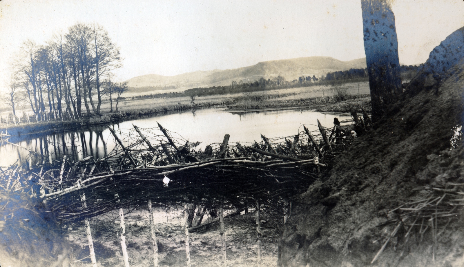 1916, Glatz Ödön, First World War, wire obstacle, Fortepan #156589