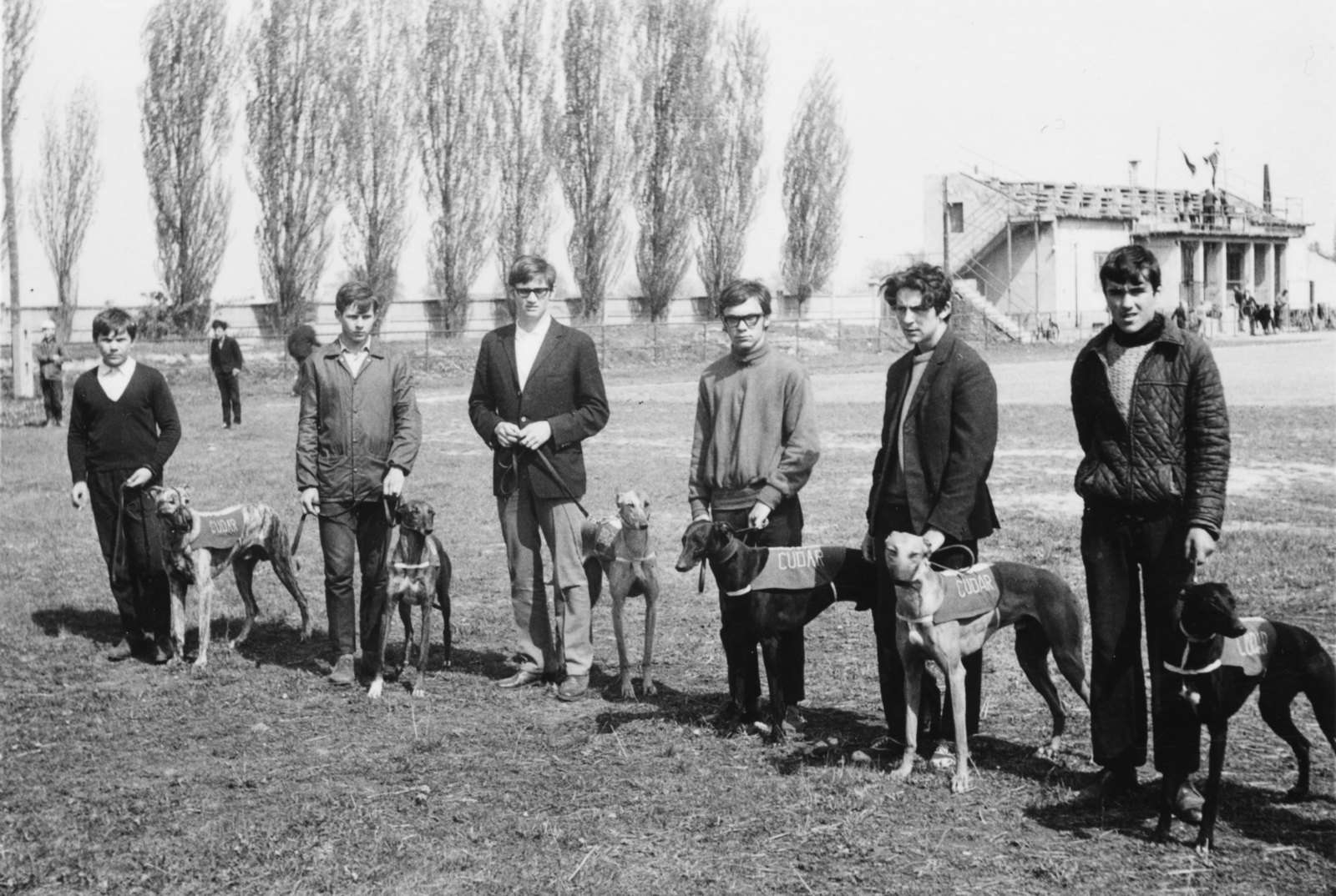 1970, Ember Csaba, dog, greyhound, Fortepan #156731