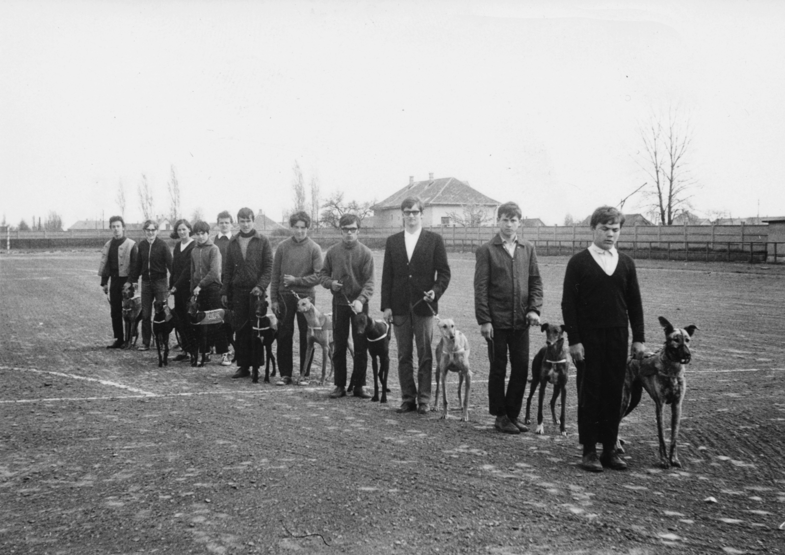 1970, Ember Csaba, dog, greyhound, Fortepan #156735