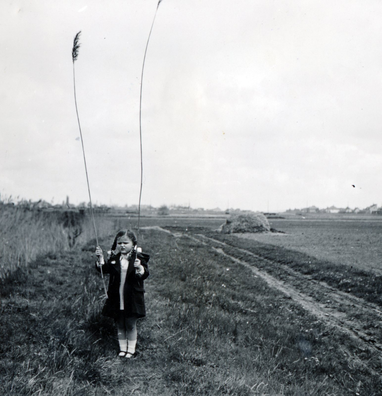 Hungary, Verőce, (Nógrádverőce)., 1938, Kinszki Imre, girl, hold in arms, reed, Fortepan #157608