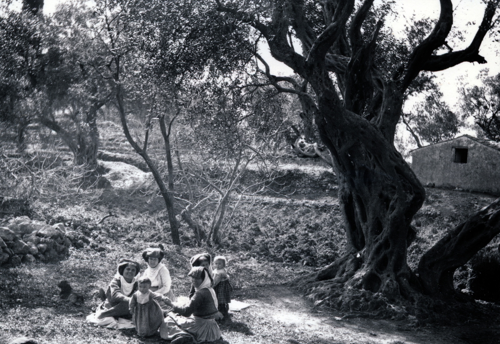 1900, Zichy, kids, Fortepan #157874