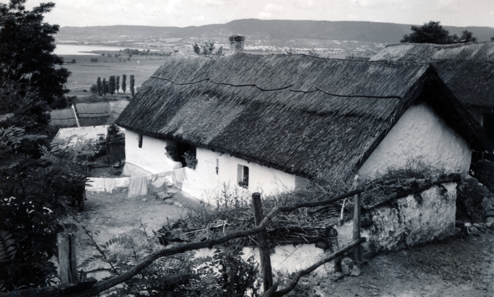 Magyarország,Balaton, Szigliget, 1953, Preisich család, nádtető, parasztház, Fortepan #157947