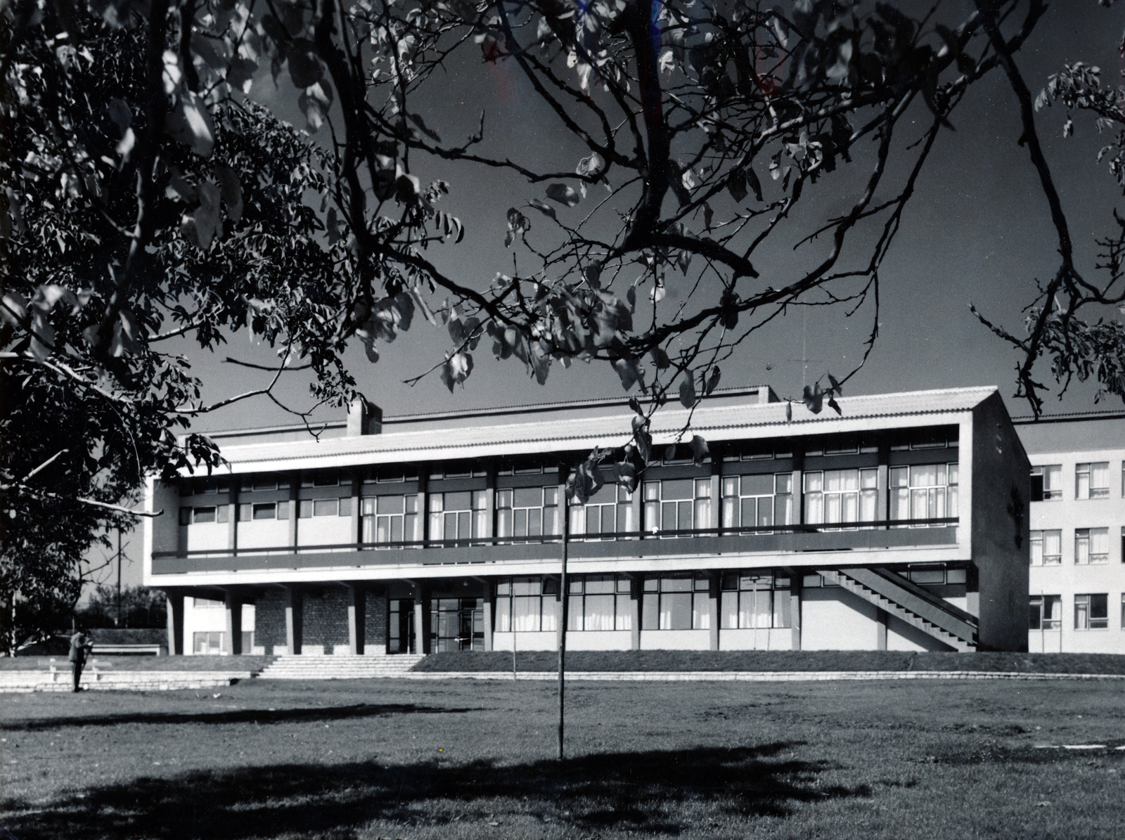 Magyarország, Budapest II., Csatárka úti gyermekváros (később Cseppkő Gyermekotthoni Központ)., 1964, Preisich család, Budapest, modern építészet, Preisich Gábor-terv, Fortepan #158042