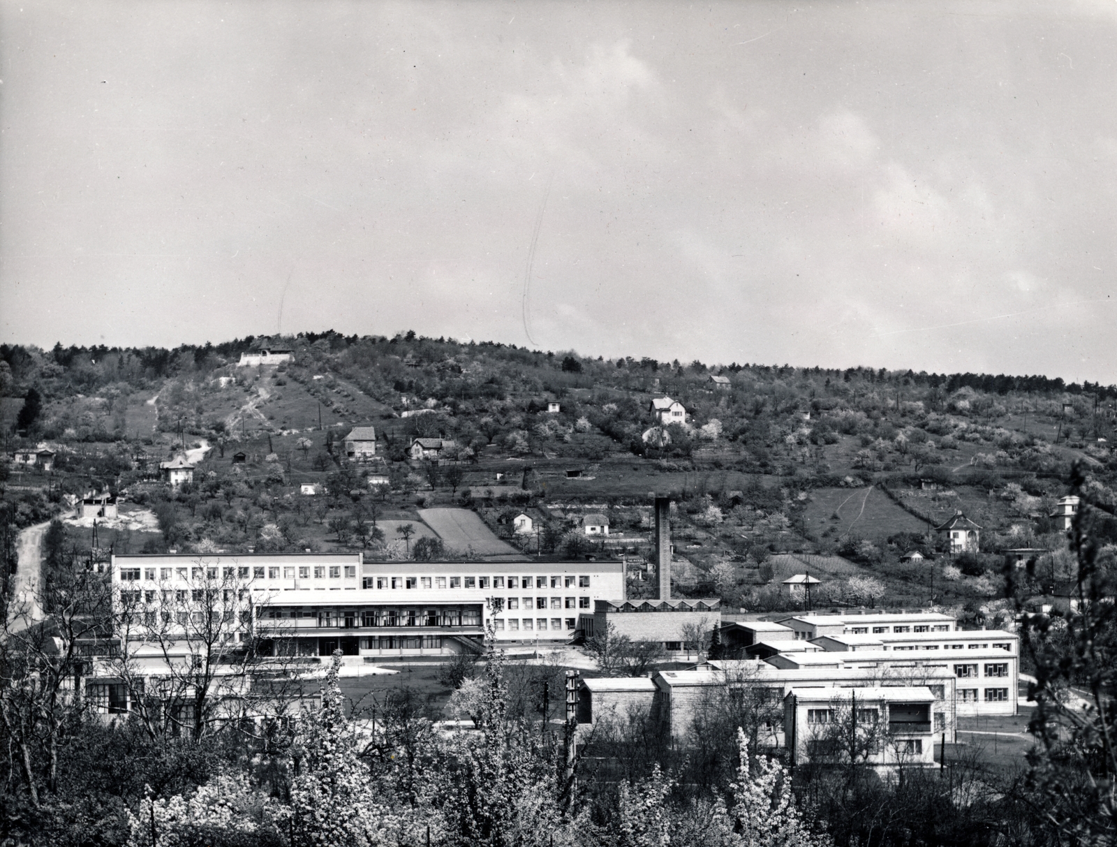 Hungary, Budapest II., Csatárka úti gyermekváros (később Cseppkő Gyermekotthoni Központ)., 1962, Preisich család, Budapest, picture, landscape, Gábor Preisich-design, Fortepan #158044