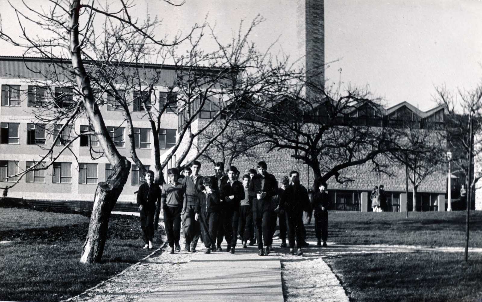 Magyarország, Budapest II., Csatárka úti gyermekváros (később Cseppkő Gyermekotthoni Központ)., 1964, Preisich család, Budapest, fiúk, fiatalság, Preisich Gábor-terv, Fortepan #158045