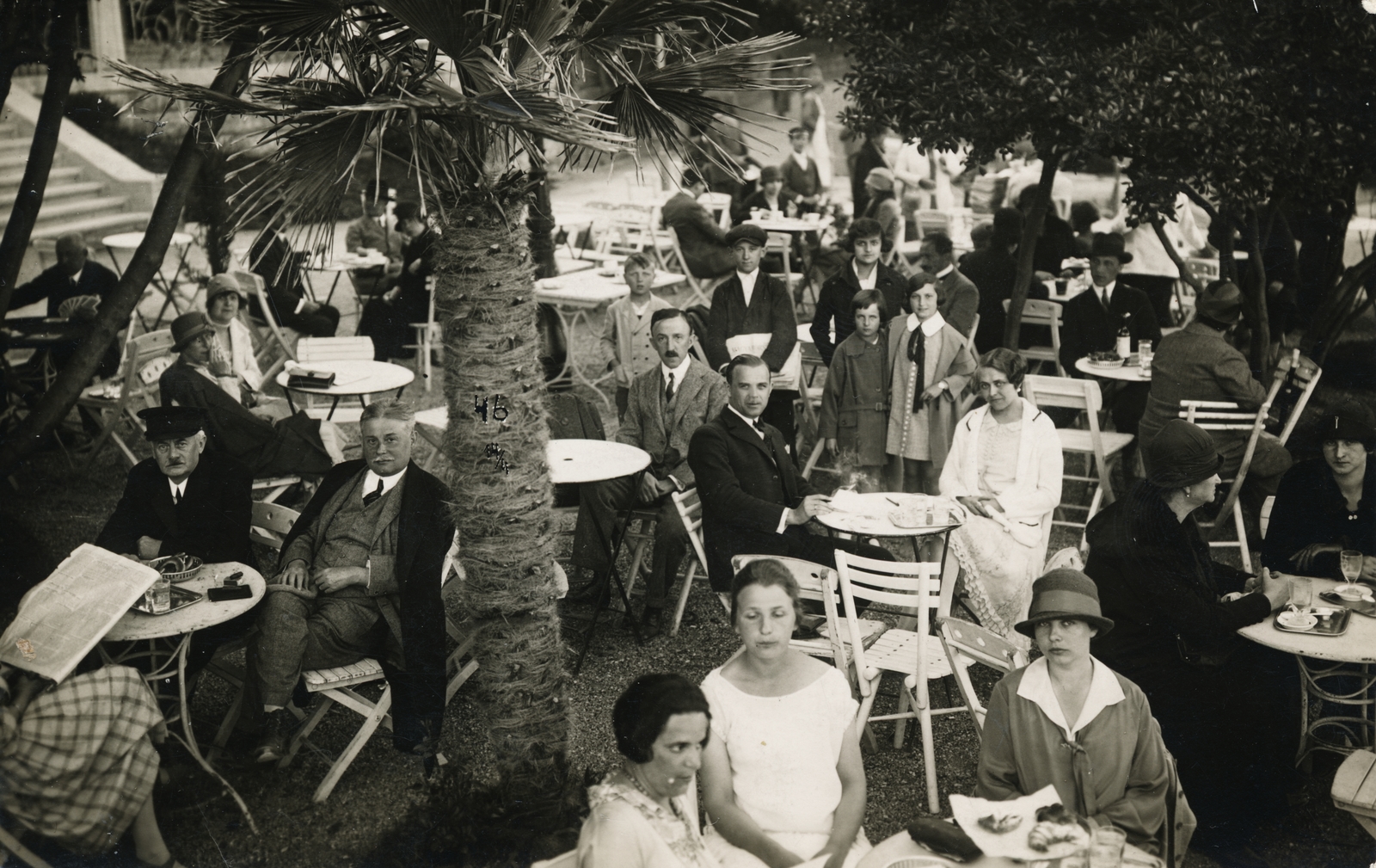 Croatia, Opatija, 1927, Latin, terrace, hospitality, palm tree, Fortepan #158210