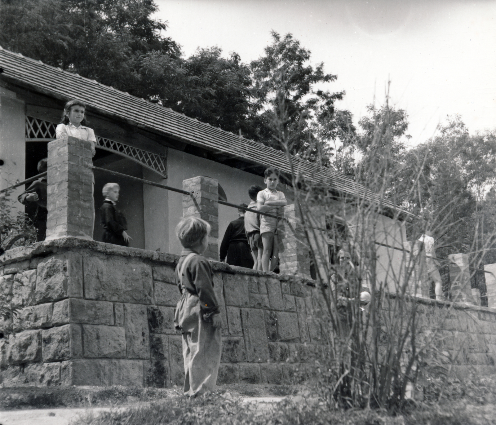 1954, Ráday Mihály, kids, freestone, terrace, Fortepan #158847