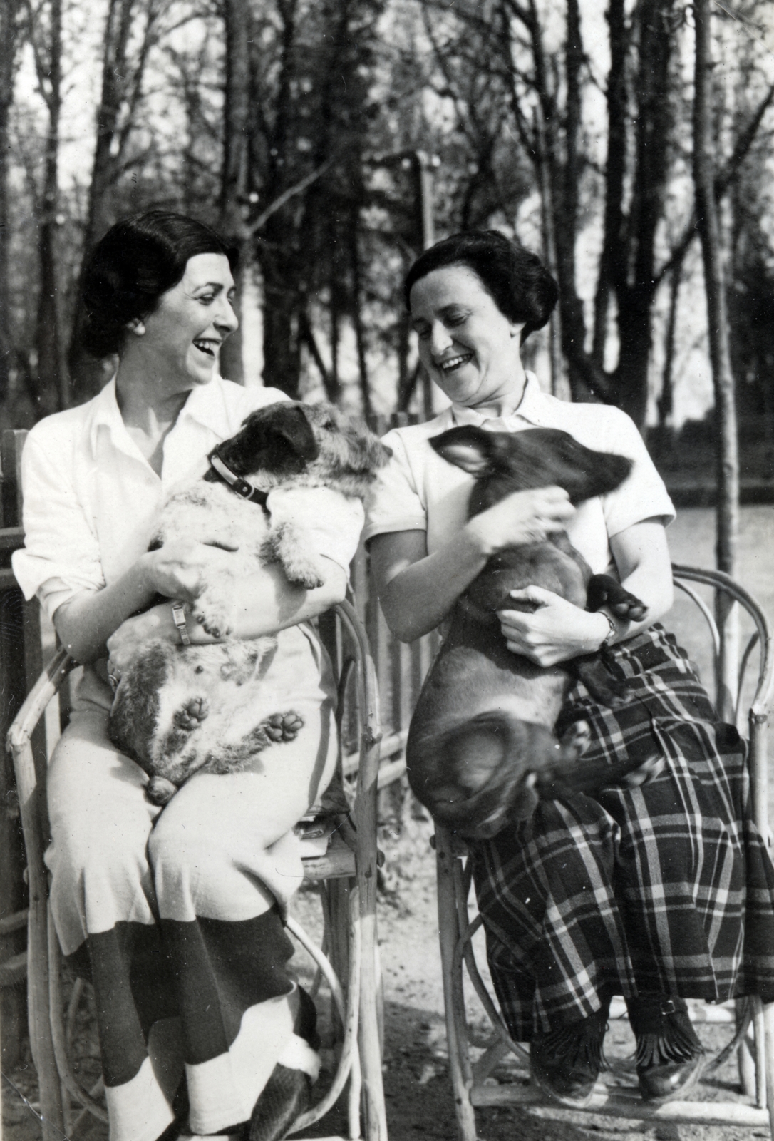 1941, Ráday Mihály, dog, Fortepan #158872