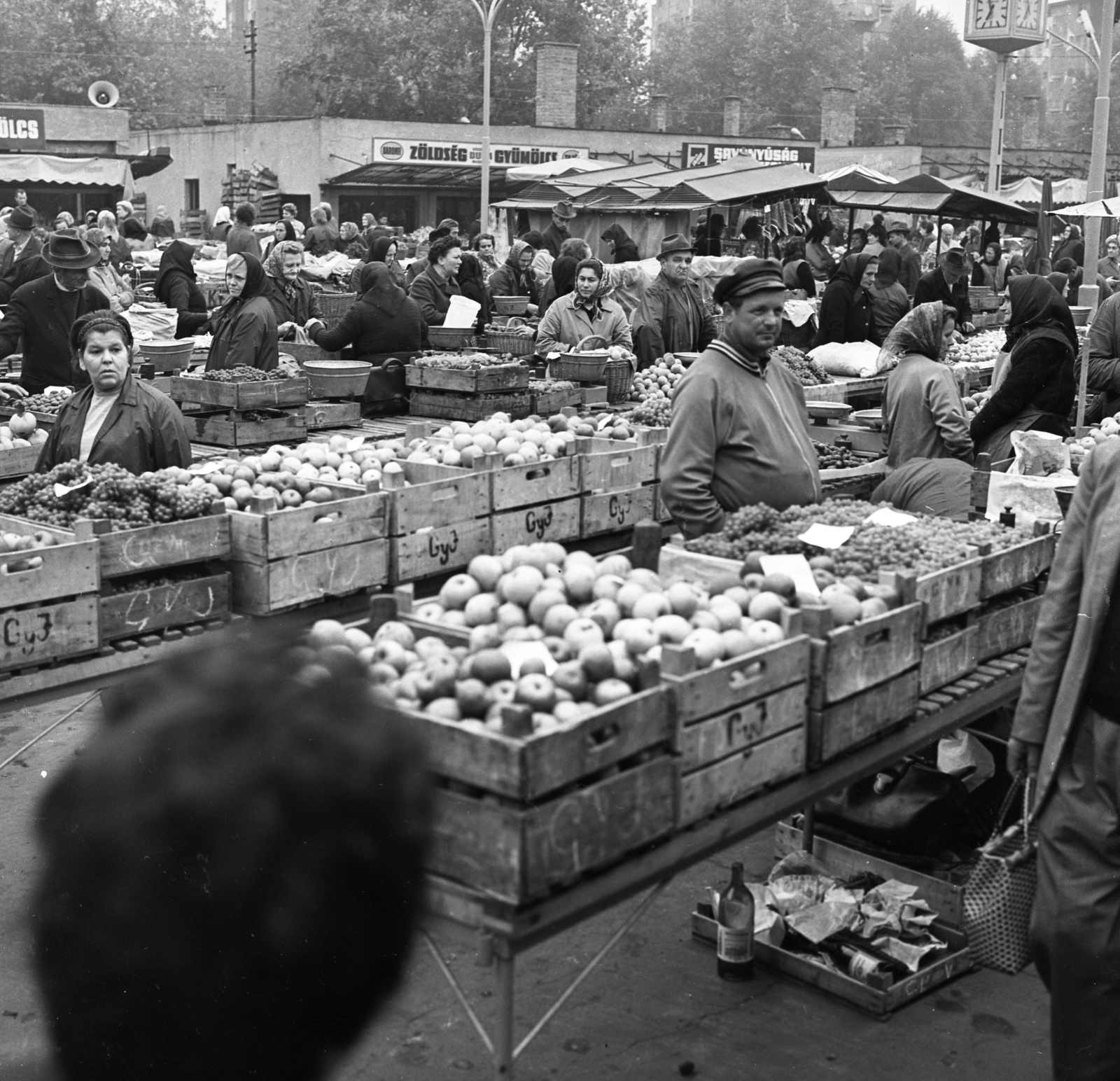 Hungary, Budapest XIII., Lehel (Élmunkás) téri piac., 1972, Urbán Tamás, market, fruit seller, Budapest, Fortepan #15917