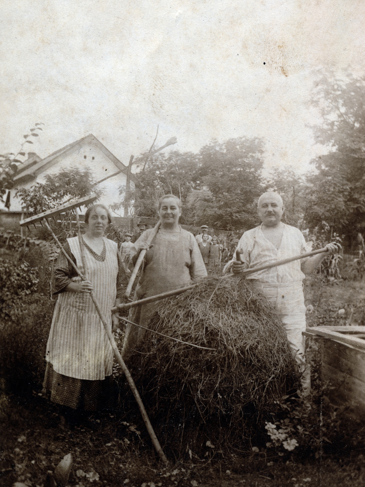 1918, Hegedűs Anikó, three people, rake, hay, Fortepan #159804