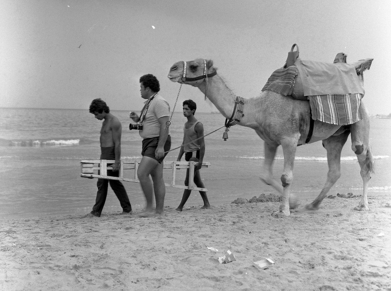 Bulgaria, tengerpart., 1982, Kováts Lajos, men, water surface, ladder, summer, camel, camera, shore, photography, sand, Fortepan #16003
