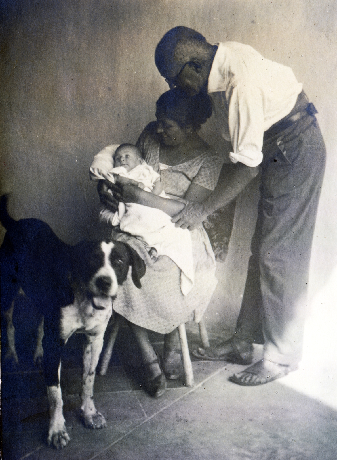 1930, Boda Balázs, dog, hold in arms, newborn, Fortepan #160383