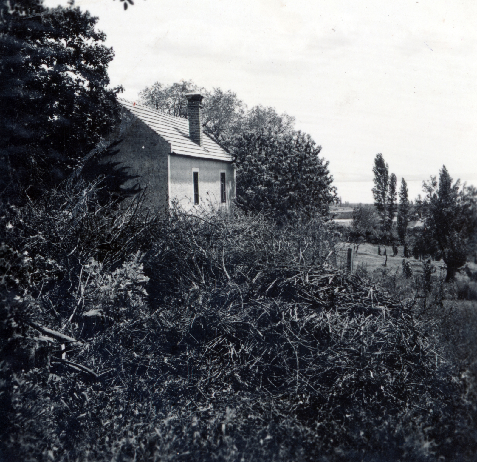 Hungary,Lake Balaton, Paloznak, Venyige utca, kúria és vincellérház, később Boda-Ponori Thewrewk nyaraló., 1938, Boda Balázs, Fortepan #160441