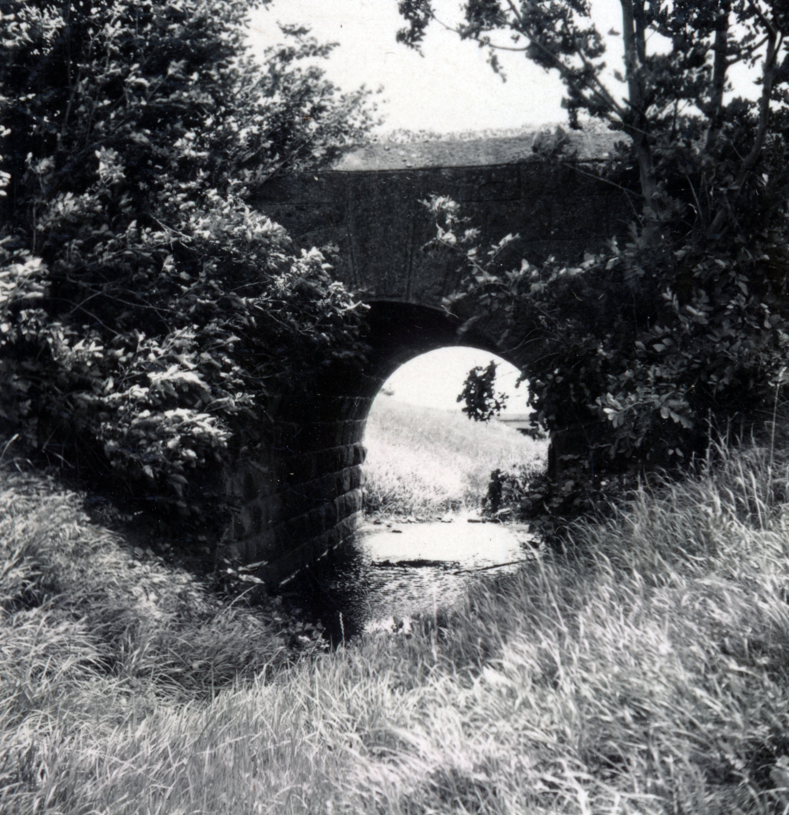 1938, Boda Balázs, stone bridge, Fortepan #160455