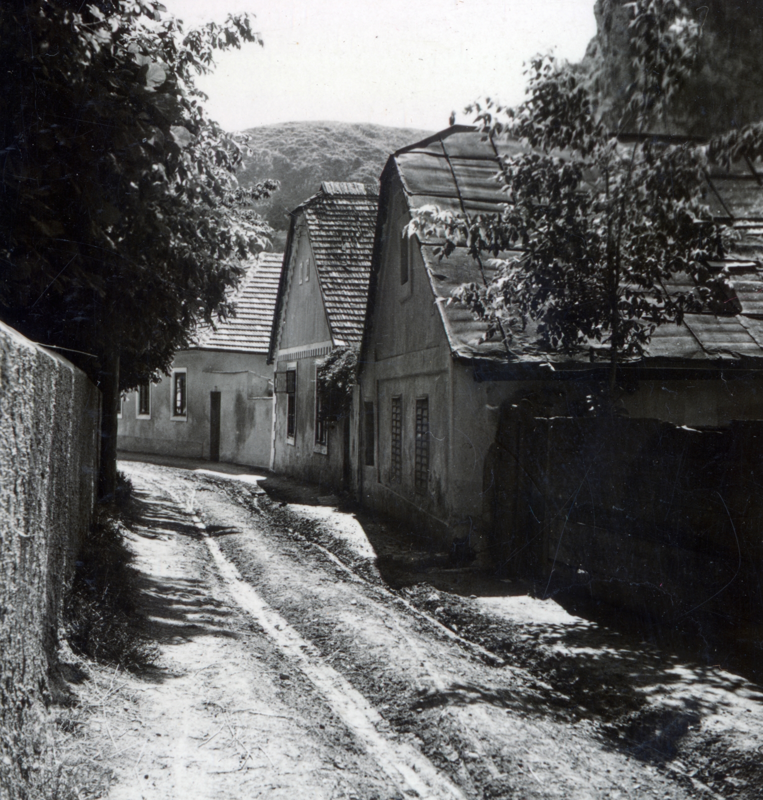 1938, Boda Balázs, dirt road, village, Fortepan #160458