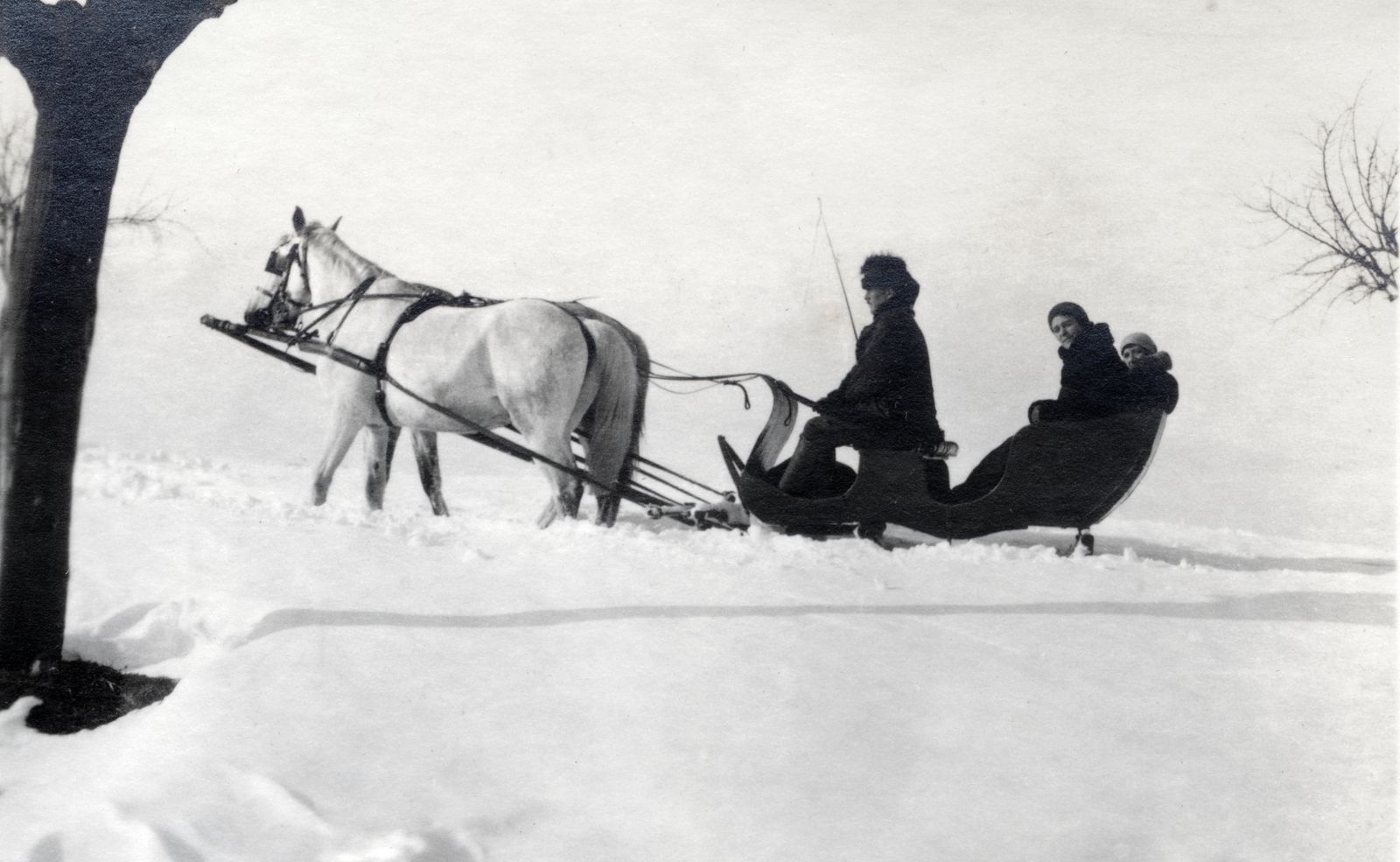 1930, Boda Balázs, snow, horse-drawn sleigh, Fortepan #160543