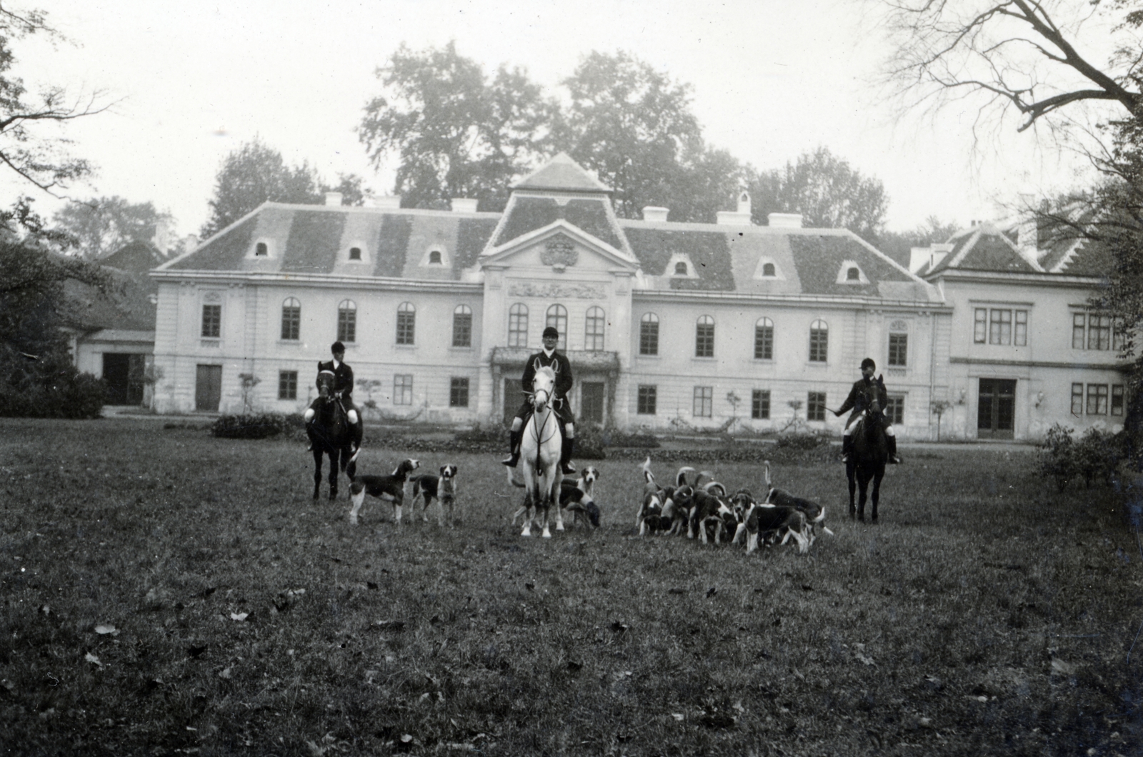 Hungary, Nagycenk, Széchenyi-kastély., 1932, Boda Balázs, dog, horse, hunting dog, Fortepan #160589