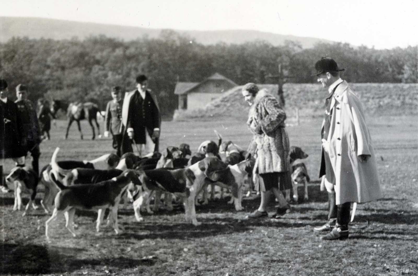 1932, Boda Balázs, dog, hunting dog, Fortepan #160590