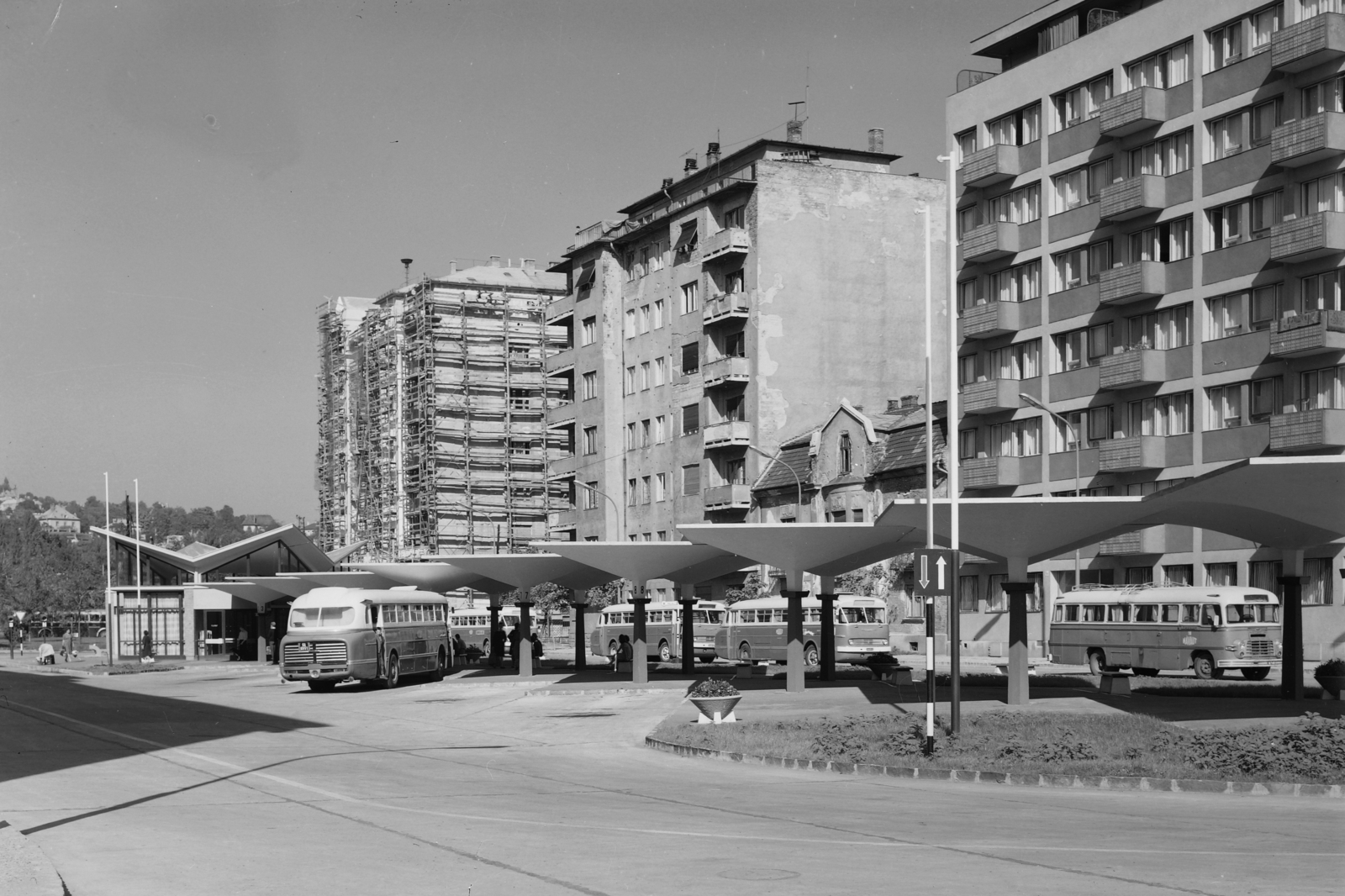 Hungary, Budapest XI., Kosztolányi Dezső téri autóbusz-pályaudvar a Bukarest utcában., 1963, UVATERV, bus, Hungarian brand, street view, Ikarus-brand, number plate, bus terminal, Budapest, bus stop, Vilmos Félix-design, Fortepan #1606