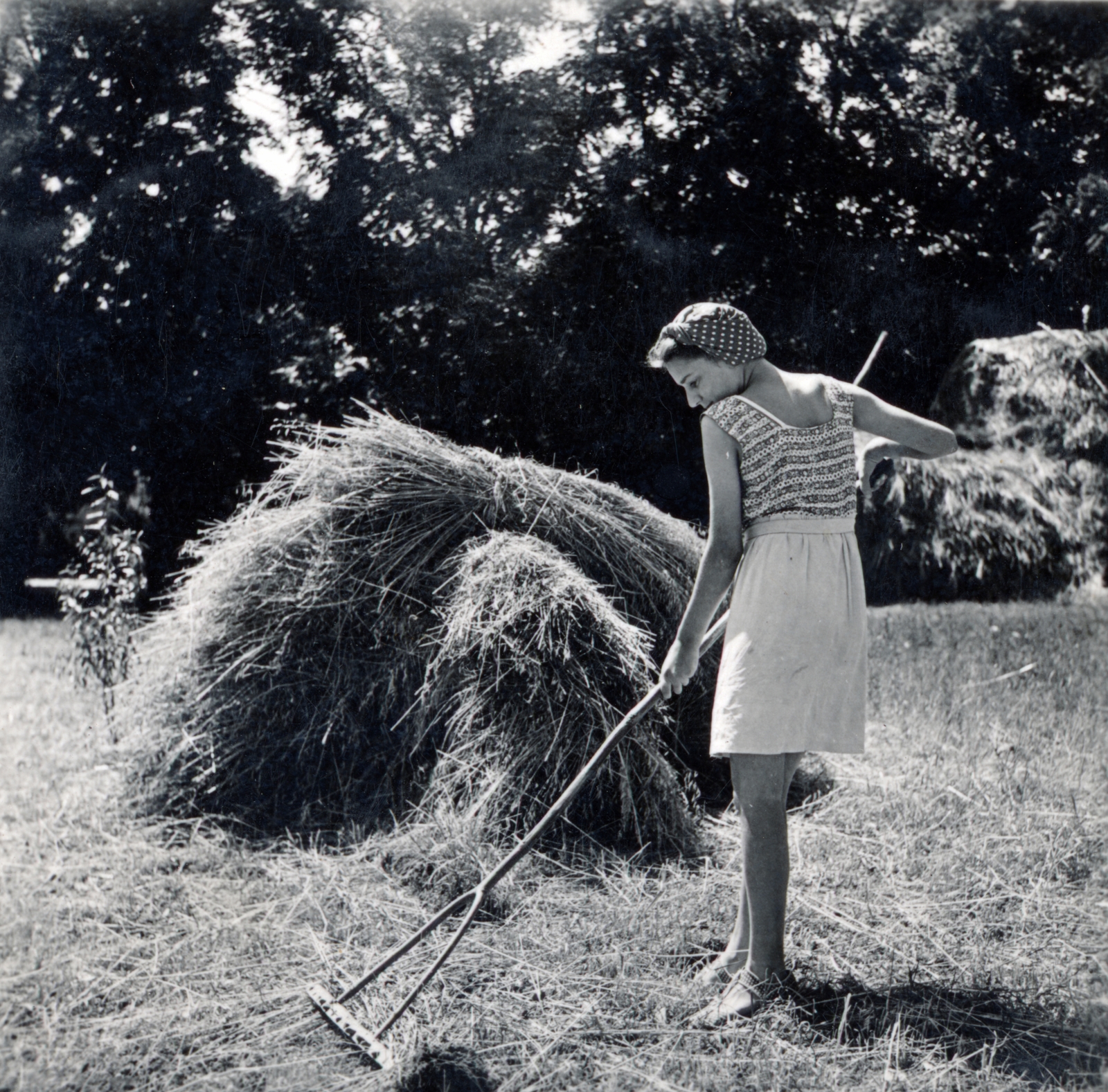 Hungary,Lake Balaton, Paloznak, Pongrácz-kastély., 1942, Boda Balázs, girl, rake, Fortepan #160685