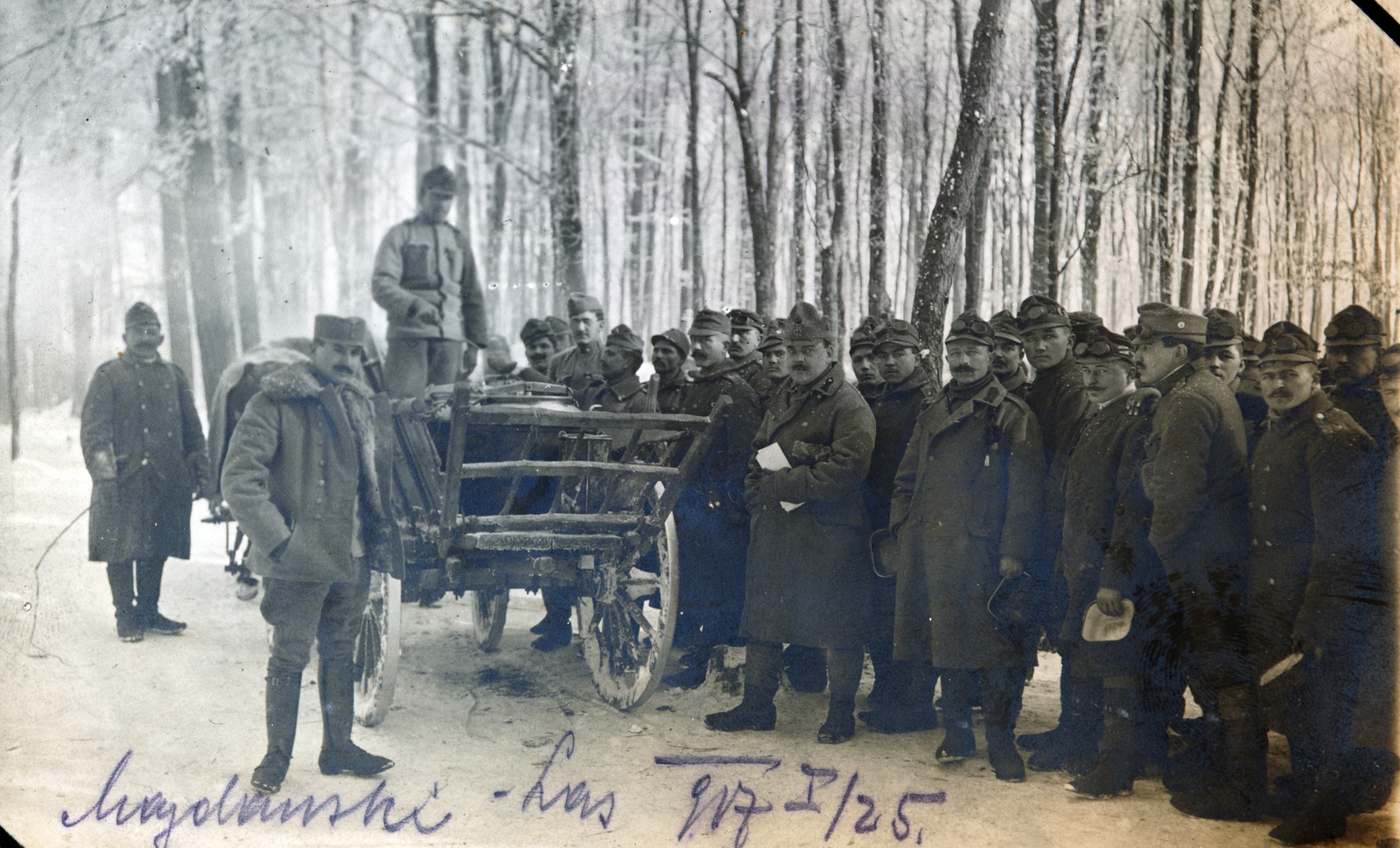Ukraine, Majdański Las (Majdański erdő) a város mellett., 1917, Zsembery Bendegúz, Fortepan #160896