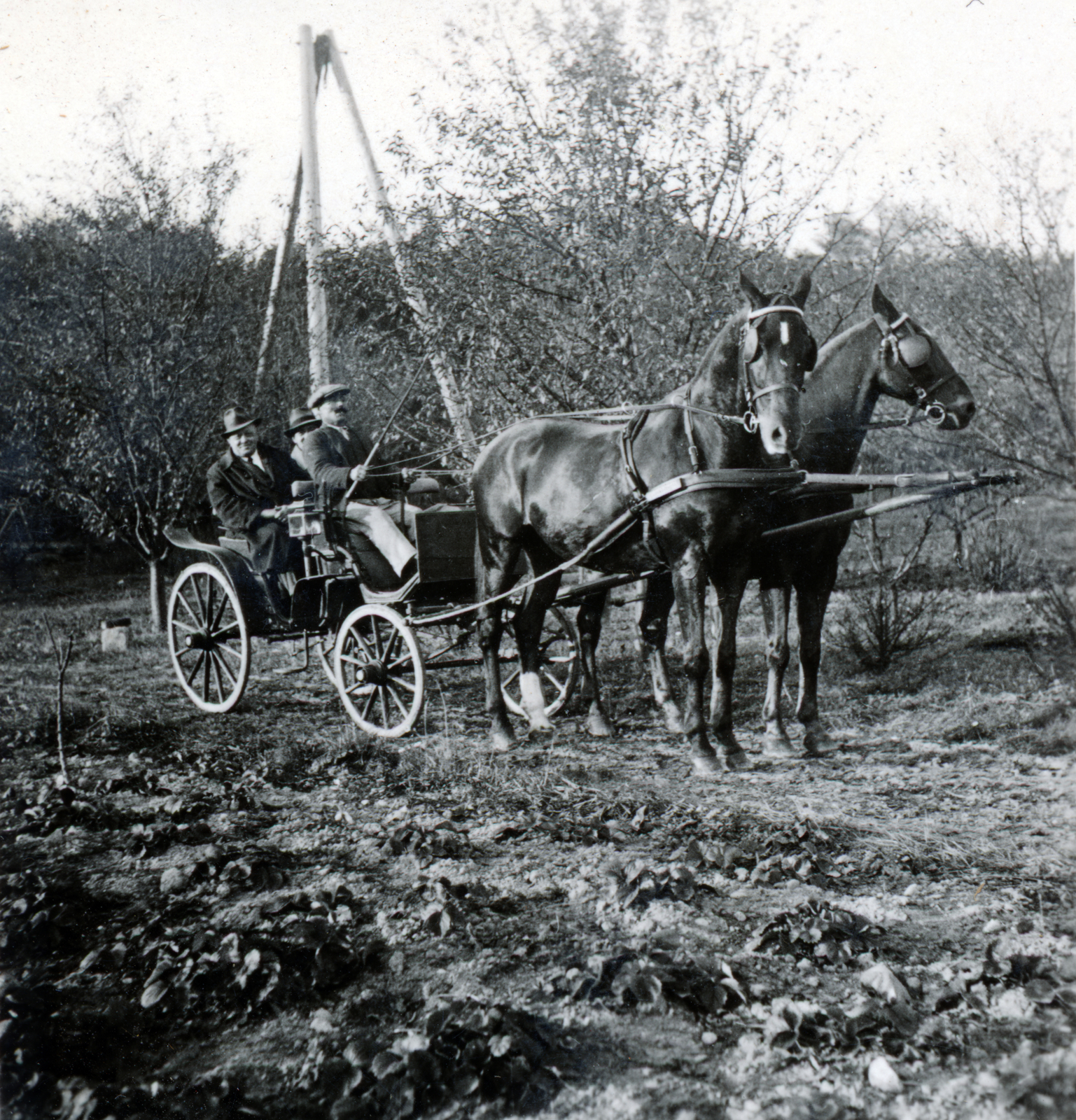 1937, Zsembery Bendegúz, Fortepan #160993