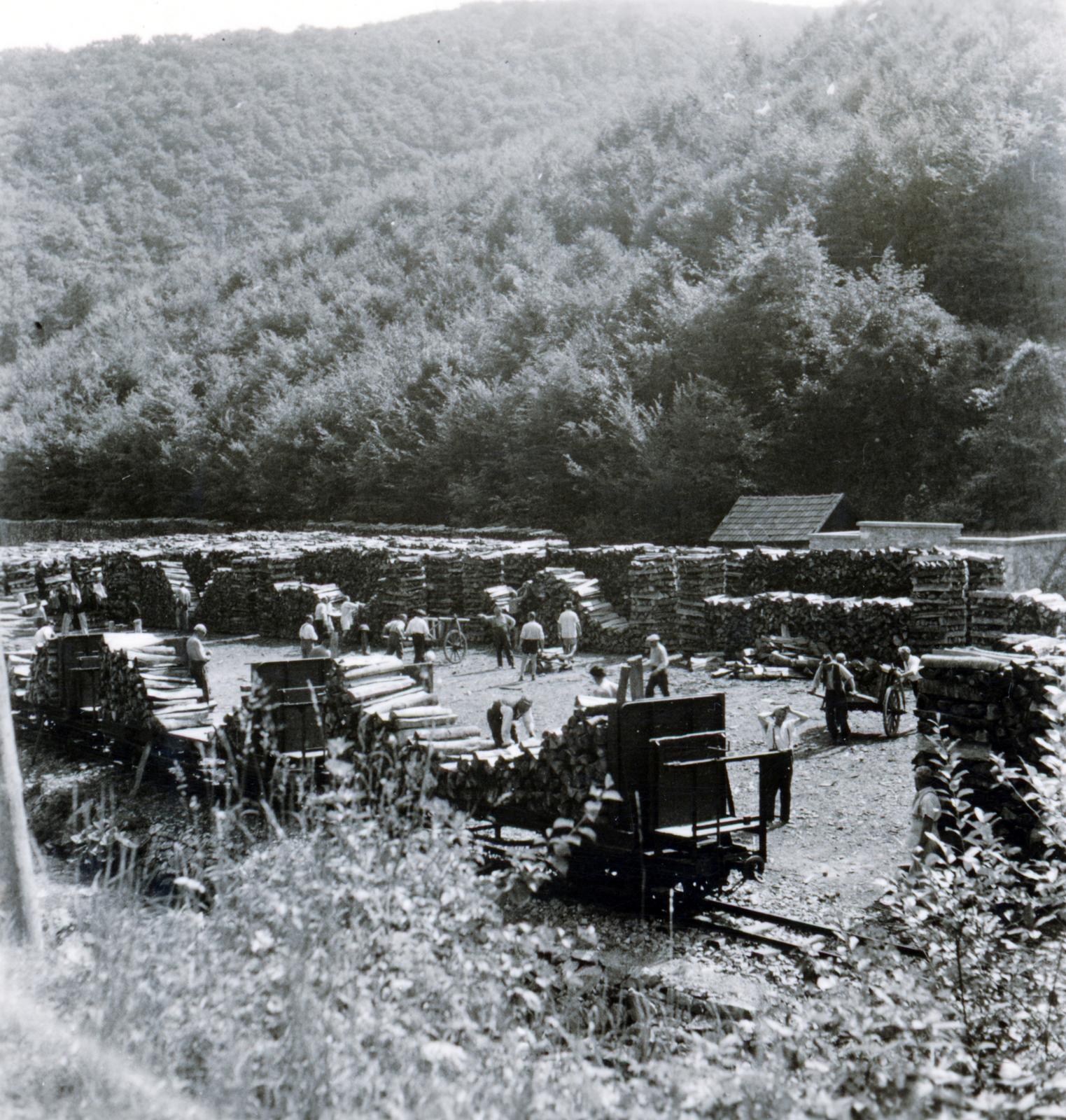 Magyarország, Lillafüred, Miskolc, Lillafüredi Állami Erdei Vasút, Kerekhegyi szárnyvonal, Kerekhegyi rakodó., 1940, Zsembery Bendegúz, Fortepan #161036