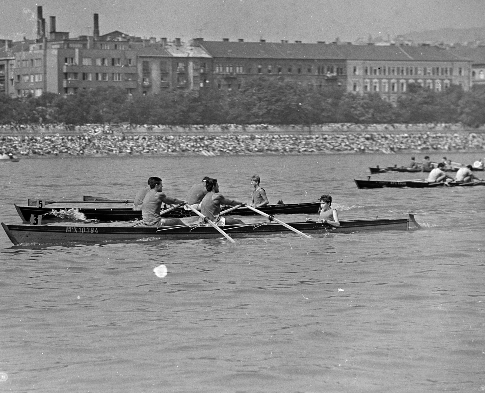 Hungary, Budapest, augusztus 20-i víziparádé, evezősök a Dunán. Szemben a Vitéz utca és Kacsa utca közötti házak a Bem rakparton., 1970, MHSZ, Fortepan #16134