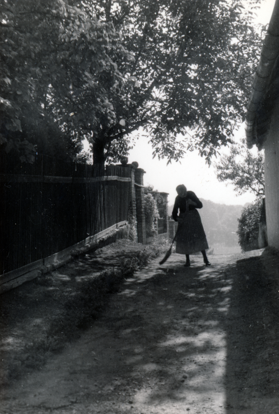 Hungary, Szentendre, Szamárhegy, a mai Szőlő köz a mai Bartók Béla utca felől., 1954, Korbuly család, old person, dirt road, lath fence, broom, Fortepan #161499