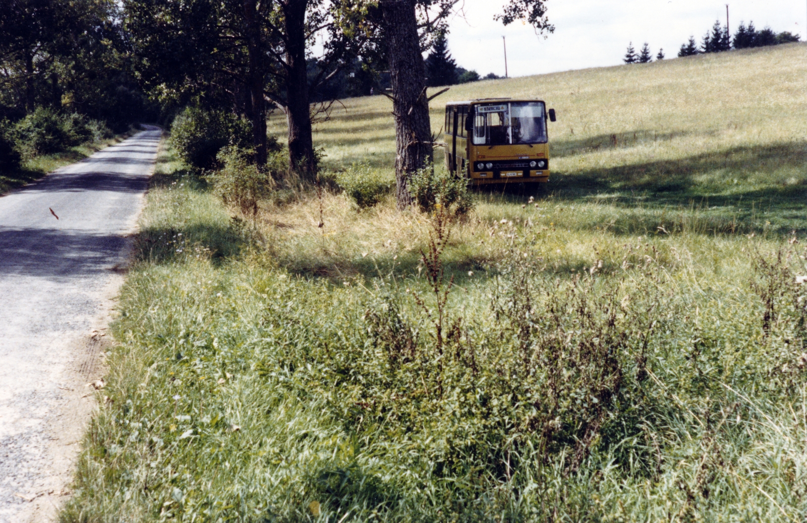 1980, Korda Judit, colorful, bus, Ikarus-brand, Fortepan #161659