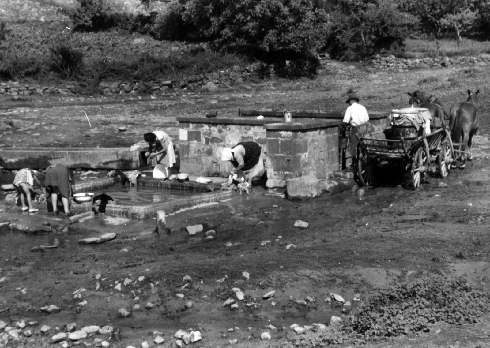 1955, Buvári Ágnes, women, Horse-drawn carriage, pool, chariot, washbasin, washing, Fortepan #162144