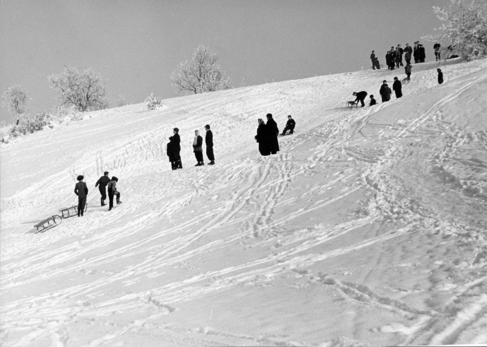 Hungary, Nagykanizsa, Miklósfa (korábban Somogyszentmiklós), szánkózás a település határában levő domboldalon., 1955, Buvári Ágnes, snow, sledge, Fortepan #162154