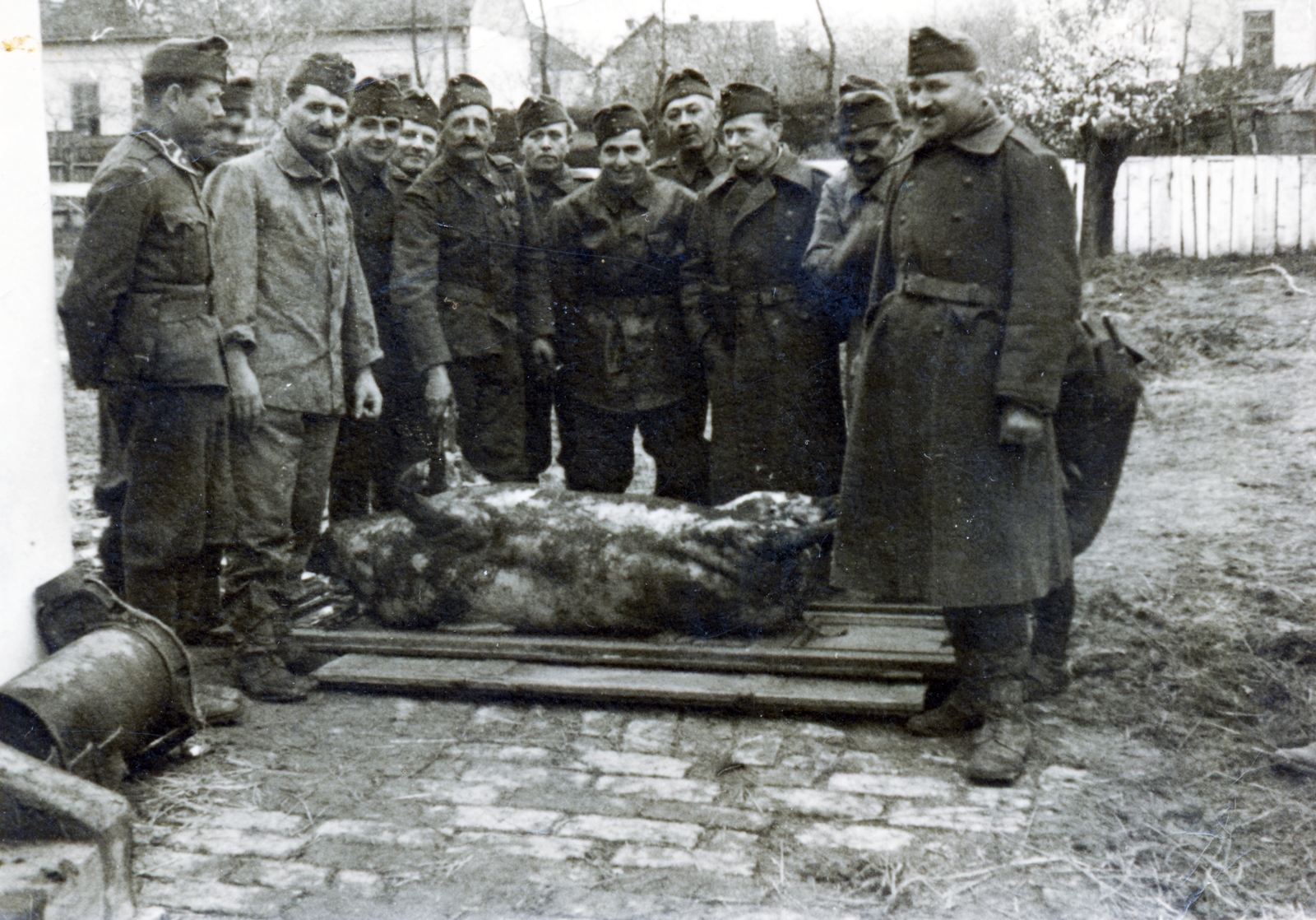 Serbia, Bačka Topola, 1941, Fehér Tibor, leather jacket, pig slaughter, Fortepan #162357