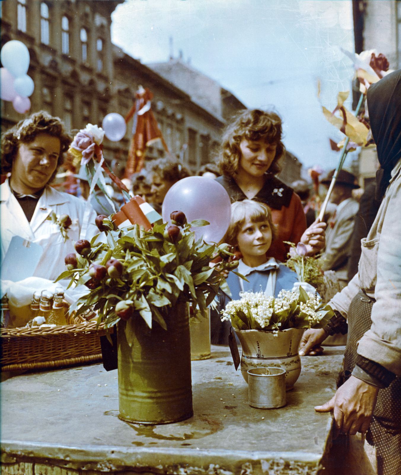 1954, Gara Andor, colorful, flower, Fortepan #162562