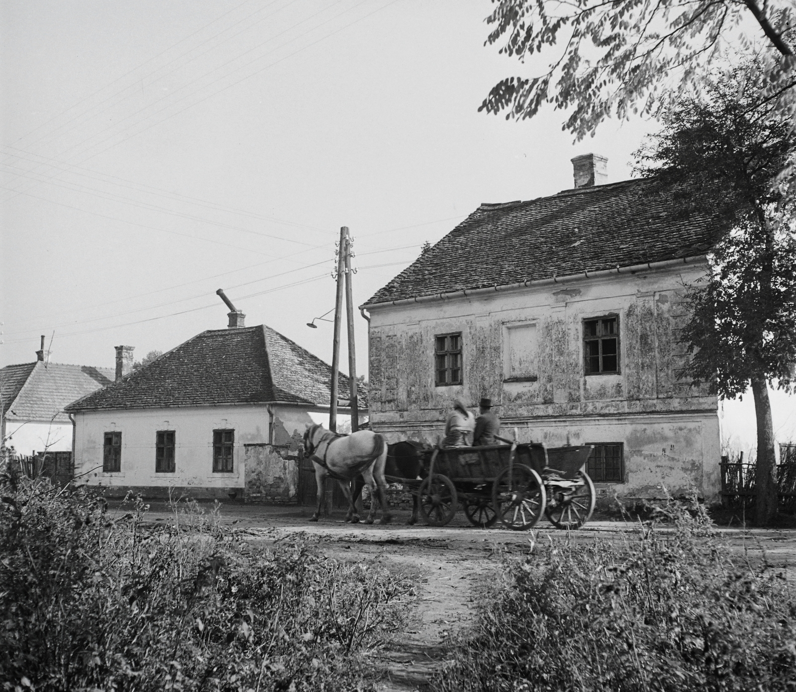 1955, Kotnyek Antal, village, horse, chariot, street view, Fortepan #16263