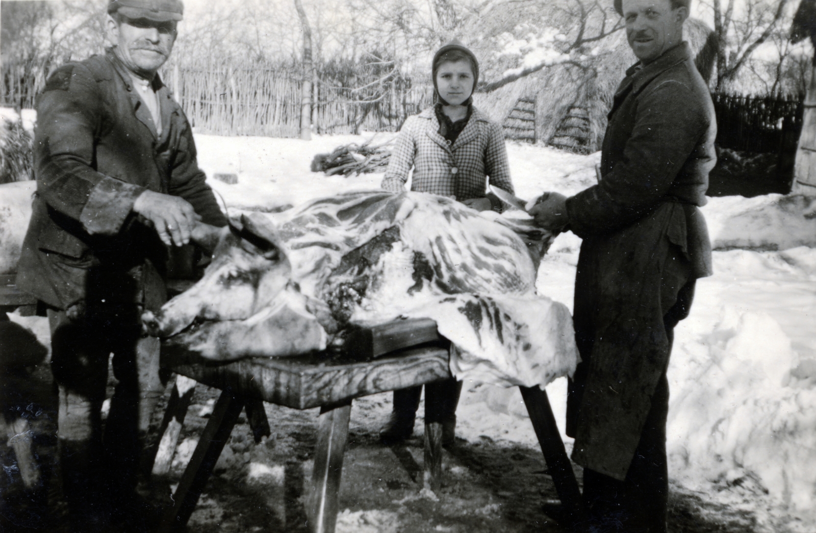 1933, Szalay Réka, pig slaughter, Fortepan #162870