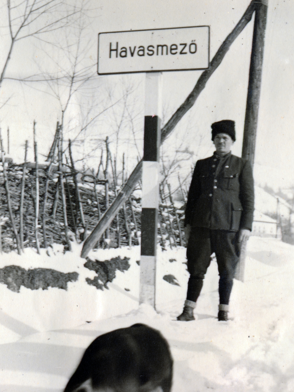 Románia,Erdély, Ruszpolyána, (ekkor Havasmező)., 1940, Szántó István dr., tábla, Fortepan #162932