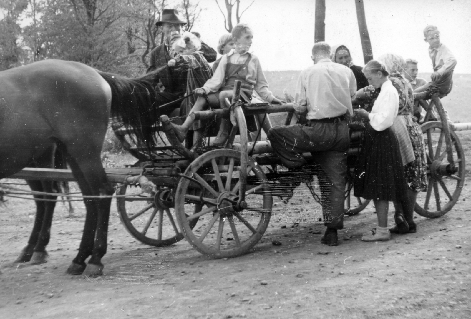 1951, Fortepan/Album043, family, kids, Horse-drawn carriage, Fortepan #163310