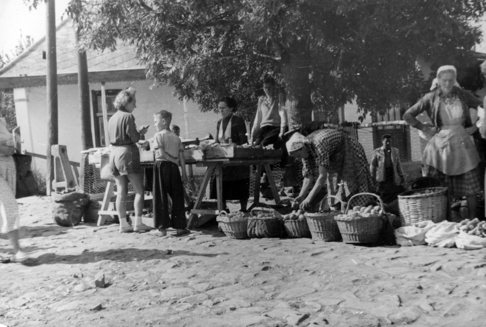 Magyarország, Mátraszentimre, piac a Deák Ferenc utca és Szabadság utca sarkán., 1951, Fortepan/Album043, kofa, piac, terméskő, kosár, termény, Fortepan #163313